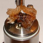 b-d-w_art_julia-8ml