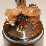 b-d-w_art_julia_24ml